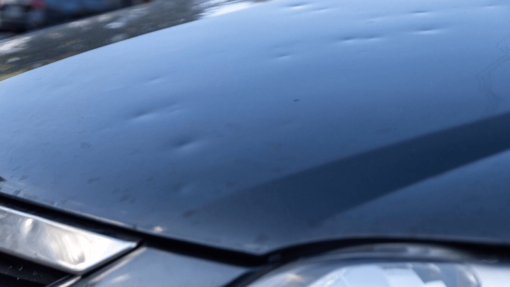 hail damaged vehicles