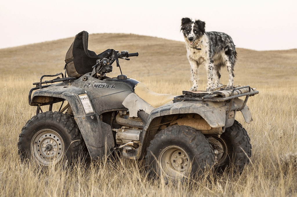 ATV and UTV Differences Practical Applications